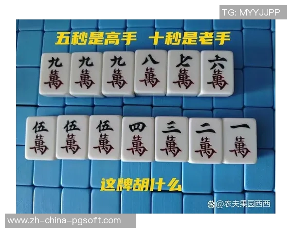 186棋牌麻将胡了怎么玩-揭秘186棋牌麻将高手进阶—从麻将新手到精英，教你胡牌的神秘奥秘！186棋牌麻将胡了怎么玩